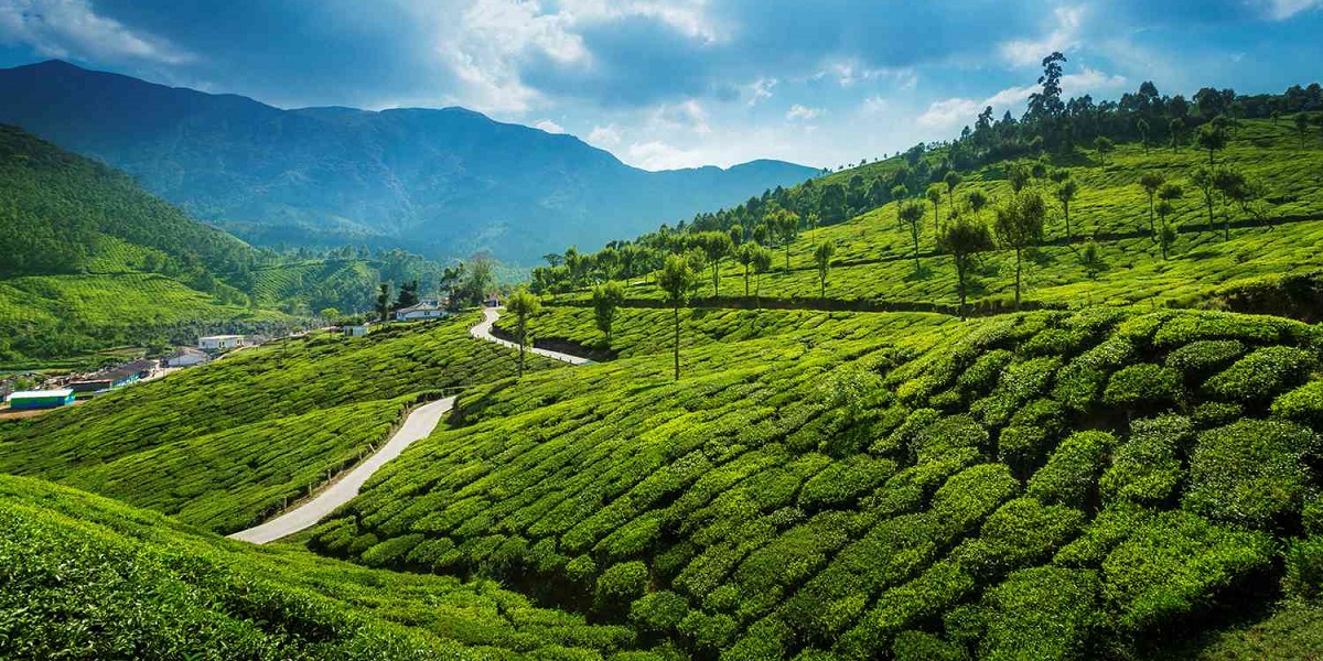 Amazing Kerala