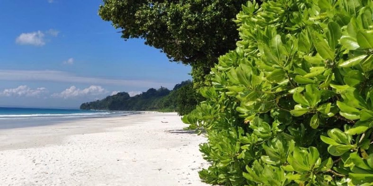 Andaman Island Serenity With Complimentary PhotoShoot at Radhanagar Beach